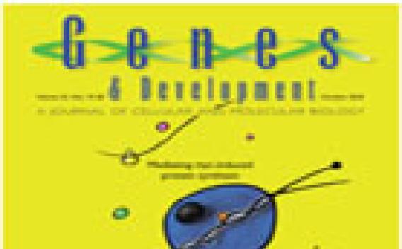 Genes and Development magazine cover