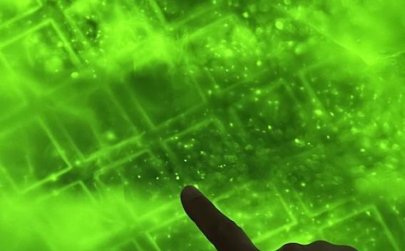 Finger pointing at grid of GFP expressing cells