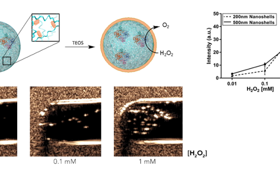 Imaging Reactive Oxygen Species