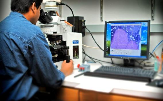 male researcher looks thru microscope with video monitor to his right