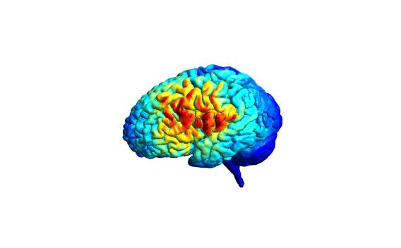 Brain electrical current flow map