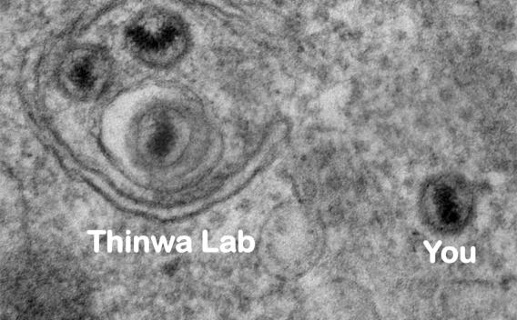 Join the Thinwa Lab - electron micrograph