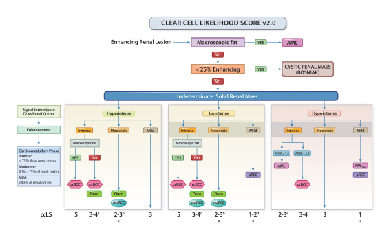 ccLS v2.0