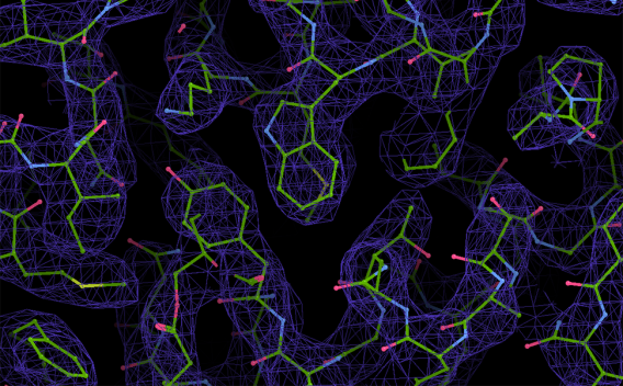 Qi Lab Research Image