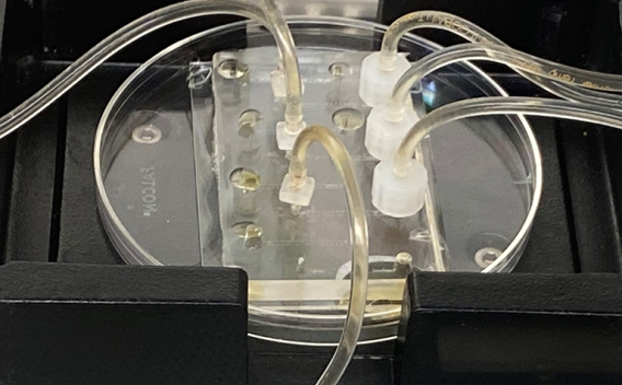 Petrie dish in a device with tubes coming out