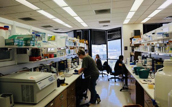 McFadden Lab at UTSW
