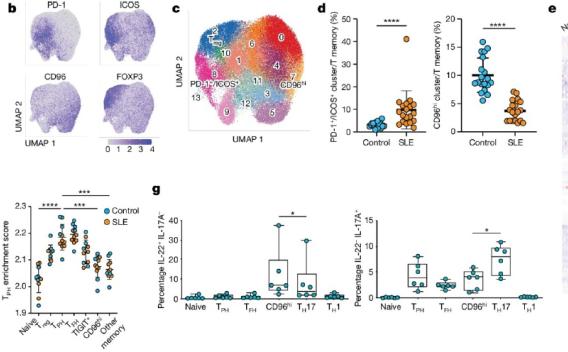 In vitro and in vivo screening identifies T cell mutations that reprogram CAR signalling and functional outputs.