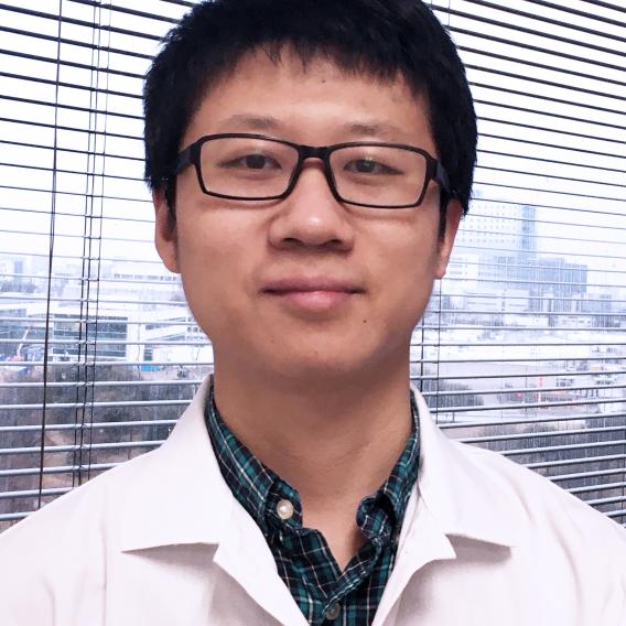 Lianxin Hu, Ph.D.