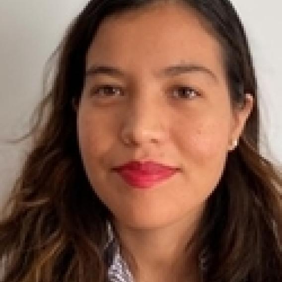 Aixa Andrade-Hernandez, M.S.