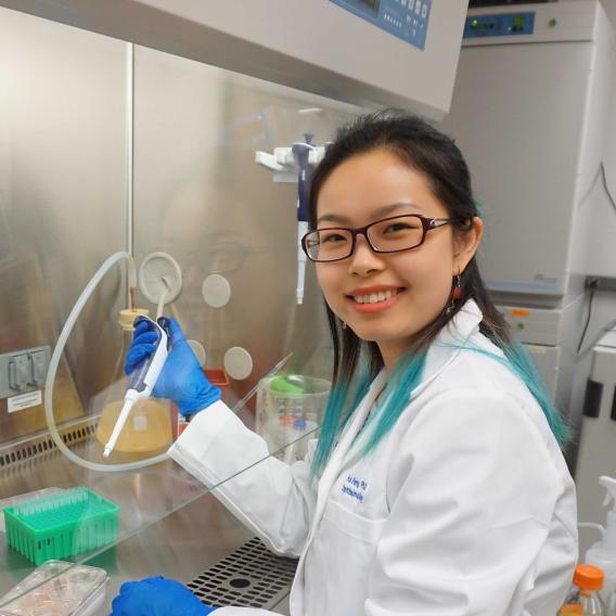 Hui Peng, Ph.D.