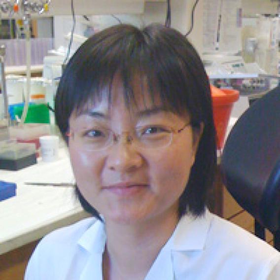 Chunli Shao, Ph.D.