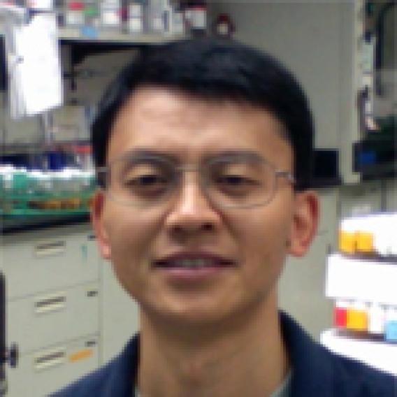 Huaqi Jiang, Ph.D.