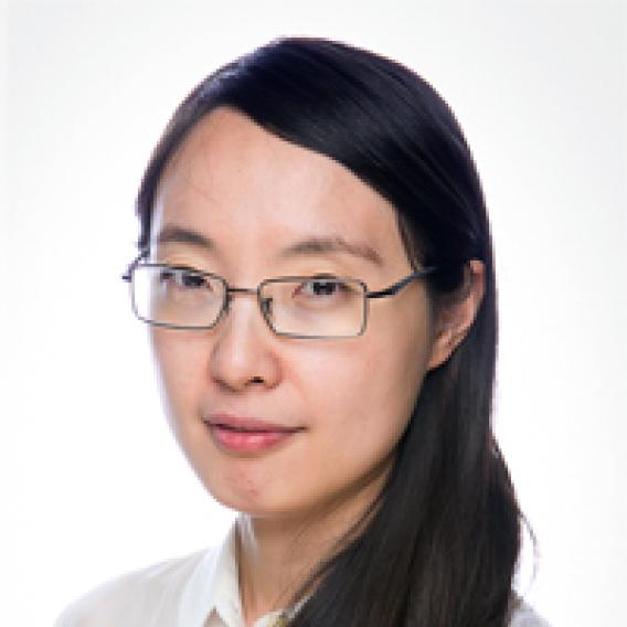 Shanshan Liu, Ph.D.