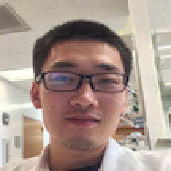 Zhao Liu, Ph.D.