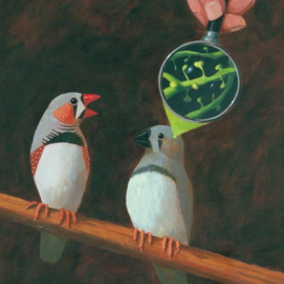 Painting of two birds