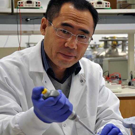 Thomas Wu Dong, Ph.D.