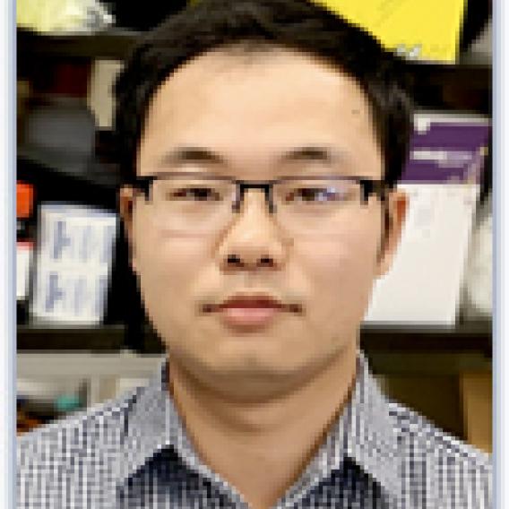 Peiheng Gan, Ph.D.
