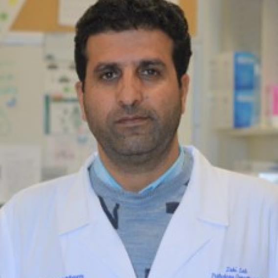 Hilal Ahmed Parry, Ph.D.