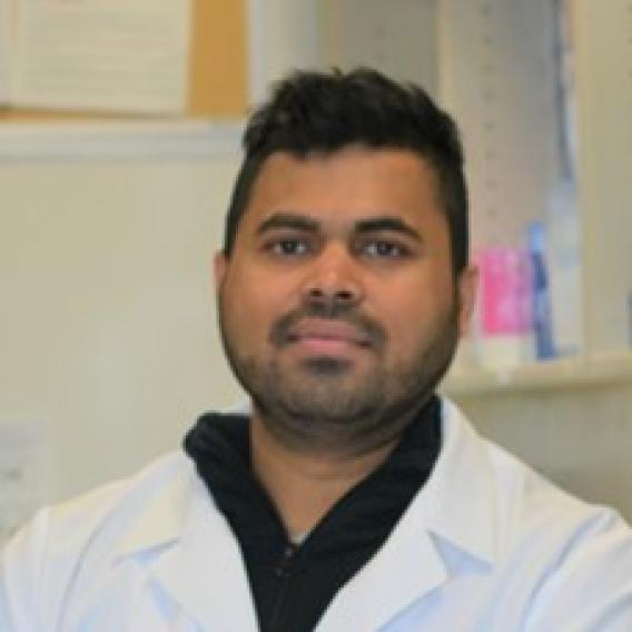 Abhijit Maji, Ph.D.