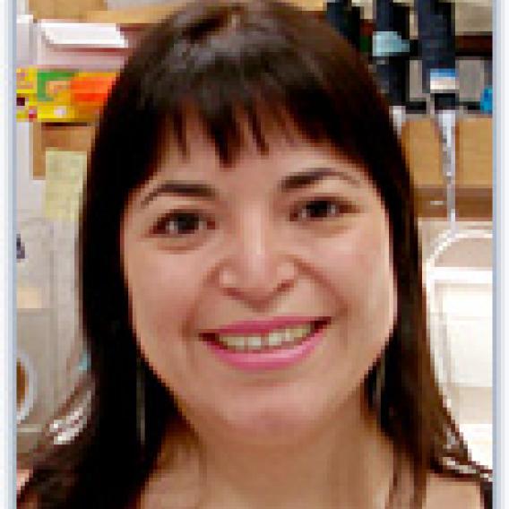 Gabriela Morales, Ph.D.