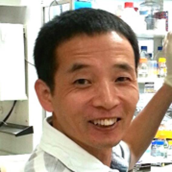 Shuzhang Yang, Ph.D.