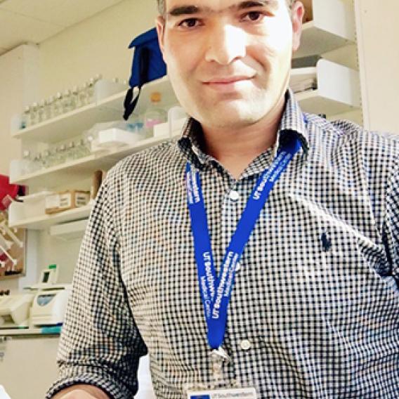 Imran Ullah, Ph.D.