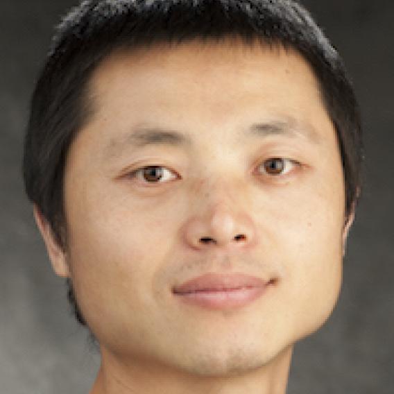 Yangchun Xin, Ph.D.