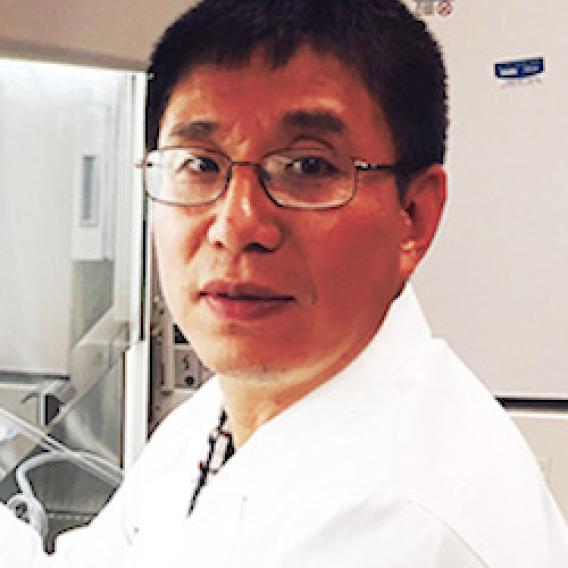 Xiao Yao, Ph.D.