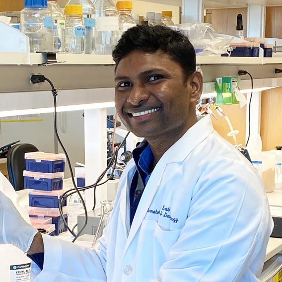 Somaiah Chinnapaka, Ph.D.