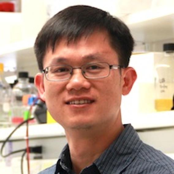 Xiaoyi Deng, Ph.D.