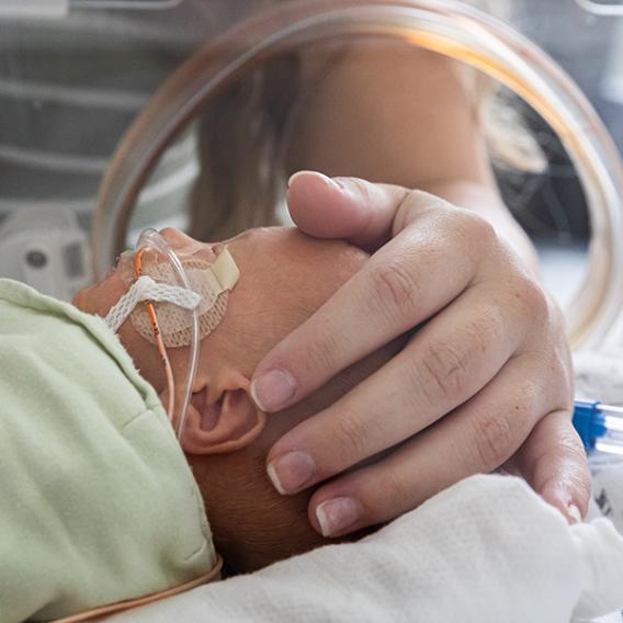 Premature baby with woman's hand cradling its head