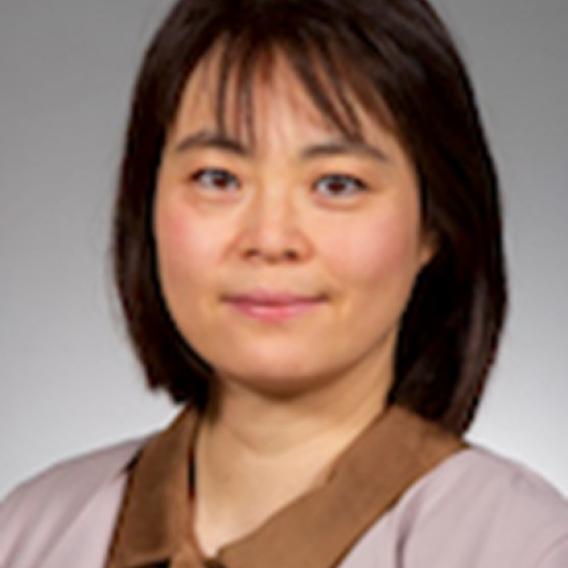 Hongjiao Ouyang, DDS, Ph.D., DMD