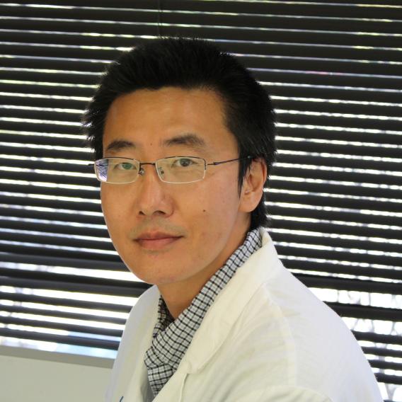 Weirui Guo, Ph.D.
