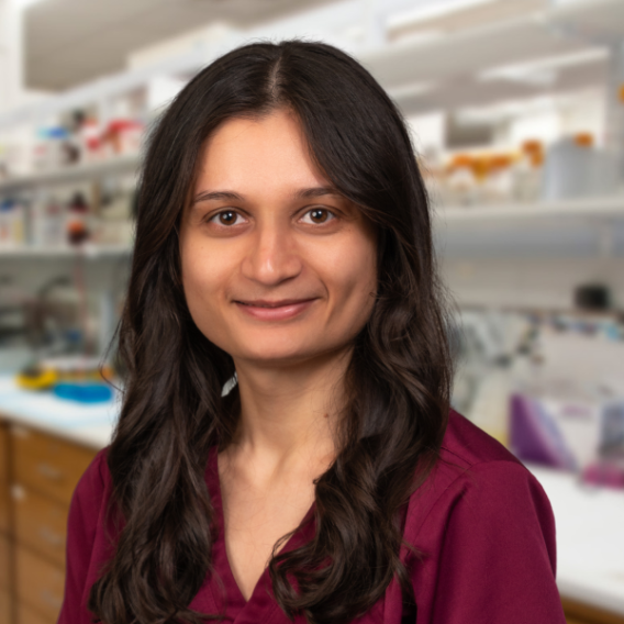 Dhara Desai, B.S. is member of the David Greenberg Lab