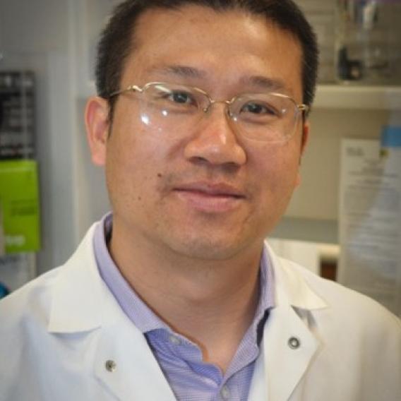Jia-Liang Gan, MD, Ph.D
