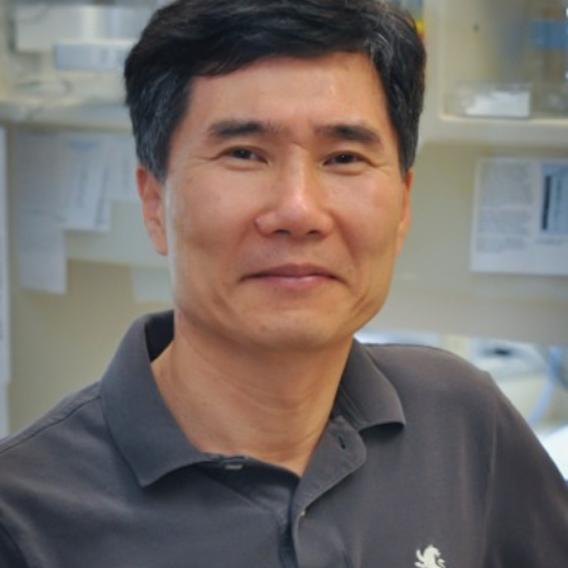 Youn-tae Kwak, Ph.D