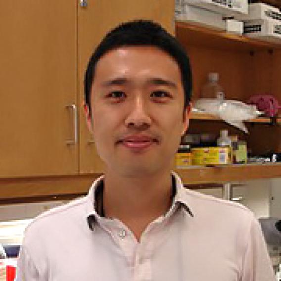 Hisayuki Hashimoto, M.D., Ph.D.