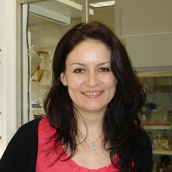 Leonela Amoasii, Ph.D.