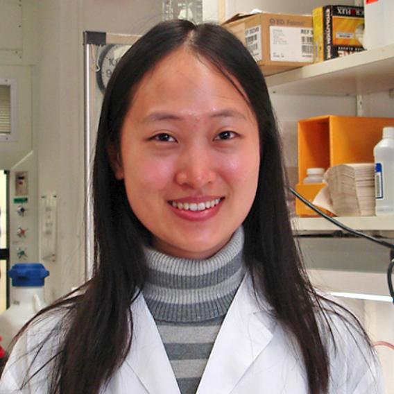 Yi-Li MIn, Ph.D.