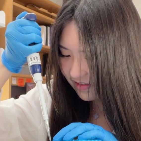 Zihang Chen, M.D.