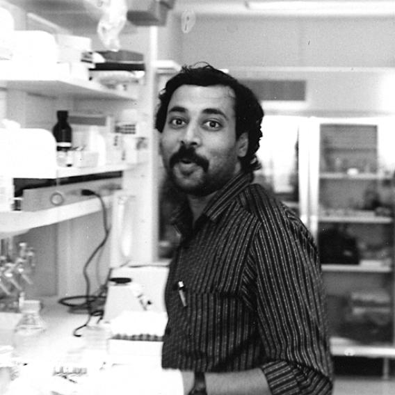 Gogeini Ranganayakulu