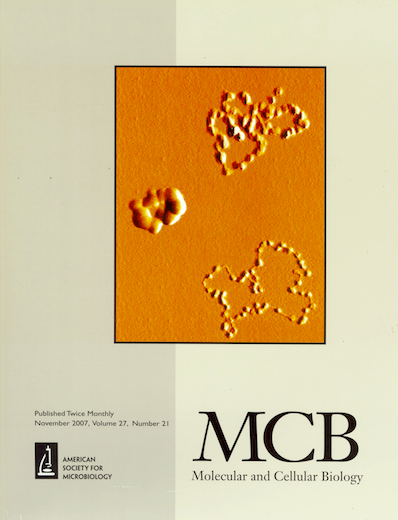 MCB Cover