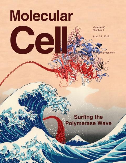 Molecular Cell cover