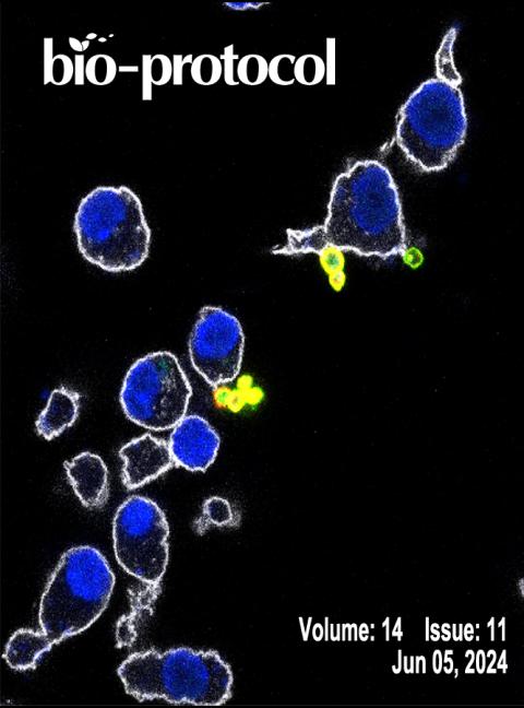 Bio-Protocol issue featuring an image of Leishmania uptake