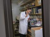 Peter in Burstein Lab looking like a serious scientist