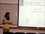 Lab member giving presentation: The Big Picture