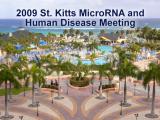 2009 St Kitts microRNA Meeting - cover photo