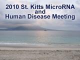 2010 St Kitts microRNA Meeting