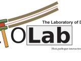 Alto Lab Logo
