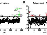 High-throughput screening charts A and B